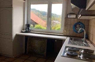 Wohnung mieten in 69509 Mörlenbach, 1-Zimmer Wohnung in Mörlenbach, 45 m², ab 01.03.2026