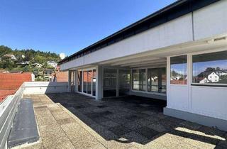 Penthouse mieten in Gewerbestr. 10, 69198 Schriesheim, Schriesheim-Altenbach: WG-geeignetes 6-Zi.-Penthouse mit Terrasse, Balkon und 2 Carports