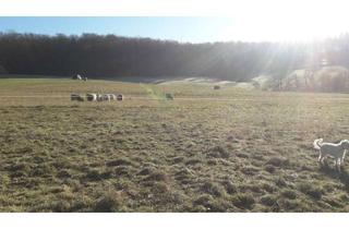 Bauernhaus kaufen in 63667 Nidda, Bauernhof mit 4,5 Ha Grünland