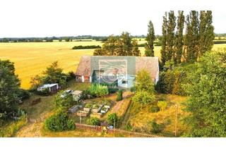 Haus kaufen in Hofallee, 18442 Groß Kordshagen, Alleinlage garantiert! Traumhaftes Wohnen auf dem Land und den Barther Bodden in der Nachbarschaft!