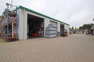 Gewerbeimmobilie kaufen in 89155 Erbach, Investment oder Eigennutzung mit viel Platz für Wachstum: Multifunktionale Halle + Freifläche