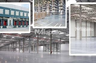 Gewerbeimmobilie mieten in 35516 Münzenberg, ca. 18.000 m² Neubau | A45 | flexible Aufteilung | diverse Nutzungsmöglichkeit