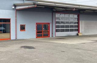 Gewerbeimmobilie mieten in Mainzer Str 11, 55545 Bad Kreuznach, Lager-, Industriehalle, Produktion, Logistik, usw