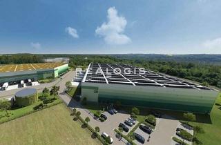 Gewerbeimmobilie mieten in 04668 Grimma, Grimma | ca. 23.000 m² Logistikneubau | Erstbezug