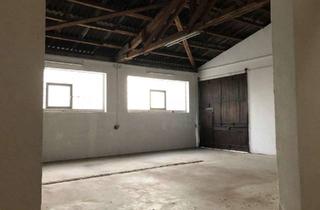 Gewerbeimmobilie mieten in Friedenauer Hof, 55234 Hangen-Weisheim, Lagerhalle in Hangen - Weisheim