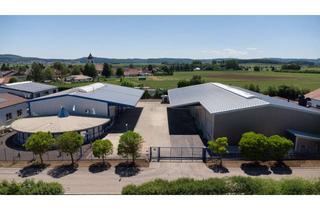 Büro zu mieten in 86753 Möttingen, Firmenareal mit 2 großen Hallen, modernen Büros und weitläufiger Freifläche