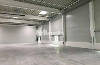 Gewerbeimmobilie mieten in 65830 Kriftel, gut gepflegte Logistikflächen in Flughafennähe | bis zu 7.000 m² | teilbar ab 3.000 m²