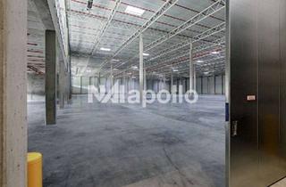 Gewerbeimmobilie mieten in 63533 Mainhausen, moderne Logistik in Top-Lage | zwischen 20.000 - 30.000 m² | teilbar ab ca. 7.500 m²