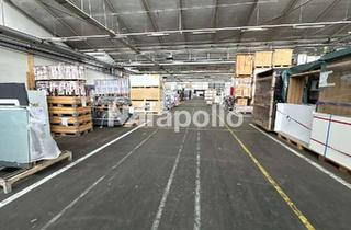 Gewerbeimmobilie mieten in 55457 Gensingen, 3,75 €/m² | ca. 12.000 m² Hallenfläche | teilbar ab 4.000 m² | Bezug: zeitnah | unmittelbar A61