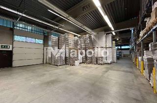 Gewerbeimmobilie mieten in 65462 Ginsheim-Gustavsburg, EXKLUSIV | ebenerdige Halle | ca. 2.000 m² | viel Freifläche | ab sofort verfügbar
