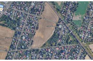 Grundstück zu kaufen in 13129 Blankenburg, attraktives Grundstück in Berlin-Blankenburg