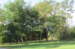 Grundstück zu kaufen in 38524 Sassenburg, Tiny-Living am Bernsteinsee