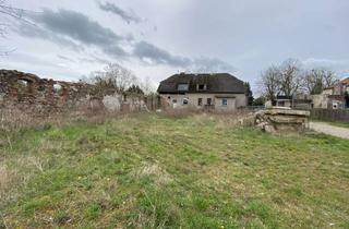 Grundstück zu kaufen in Alte Schulstr. 41-42, 15345 Altlandsberg, Provisionsfrei - Imposantes Baufeld mit Weitblick und Altbestand!