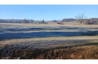 Grundstück zu kaufen in 86911 Dießen, GRÜNLAND - LANDWIRTSCHAFTLICHE FLÄCHE - WIESE - FREIZEITGRUND - ORTSRANDLAGE