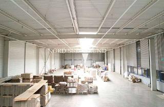 Lager mieten in 77855 Achern, Moderne Halle für Lager und Logistik mit 1.750 m² (teilbar ab 750 m²) mit 4 Laderampen.