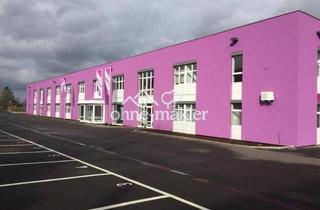 Geschäftslokal mieten in Steinbergstr. 3, Leipzig, 04288 Leipzig, Büro/Soz. R. 206m², Lager-Produktion 750m², Freifl. >5000m² (Option + CNC Zerspanung ca.400m²