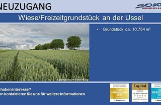 Grundstück zu kaufen in 86643 Rennertshofen, Großzügige Wiese/Freizeitgrundstück in Rennertshofen - Stepperg an der Ussel zu verkaufen - Ein Objekt von SOWA Immobilien & Finanzen Ihrem Immobilienprofi vor Ort