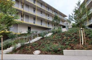 Wohnung mieten in Lindichstraße, 74189 Weinsberg, Für mind. 2 -3 Pers. nur mit Wohnberechtigungsschein in Weinsberg 3 Zi.Whg., mit EBK u. Balkon