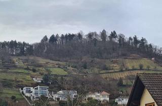 Wohnung mieten in 64646 Heppenheim, Helle 3-Zimmer Dachgeschosswohnung in Heppenheim (Bergstraße)