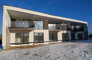 Wohnung mieten in 19395 Plau, Erstbezug-Neubau 3 Zimmer Wohnung mit Terrasse Plau am See Lange Str.59 (gegüber vom Netto Markt)