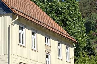 Mehrfamilienhaus kaufen in 38685 Langelsheim, Sehr gepflegtes Haus mit neuer Wärmepumpe im idyllischen Lautenthal