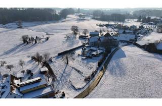 Einfamilienhaus kaufen in 88287 Grünkraut, Der Traum vom eigenen kleinen Hof - Einfamilienhaus mit ELW und sehr viel Platz in Grünkraut!