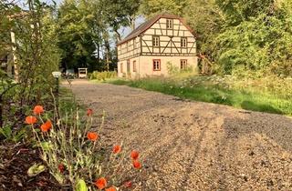 Haus mieten in 53902 Bad Münstereifel, Houverath: Miete, freistehendes Haus 147 m², einzigartiges Wald-Wiesen-See-Grundstück 6.600 m² ...