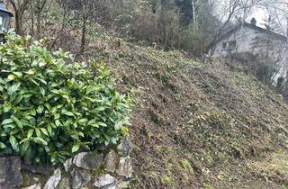 Grundstück zu kaufen in 54614 Schönecken, **Voll erschlossenes Baugrundstück in Schönecken Ortsrandlage zu kaufen**