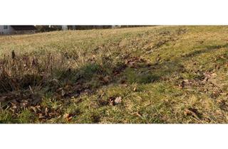 Grundstück zu kaufen in 95326 Kulmbach, Traumhaftes Baugrundstück zu verkaufen - perfekt geeignet für Ein-u. Mehrfamilienhausbebauung