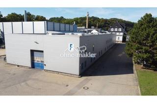 Büro zu mieten in 01809 Dohna, Hallen- und Lagerflächen in 01809 Dohna (Gebäude F1)