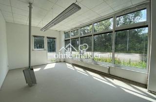 Büro zu mieten in Meißener Dorfstraße 35, 32423 Minden, Gewerbehalle mit Bürofläche in Minden –sofort verfügbar/optimale Erreichbarkeit (Kreuz B428/B65)