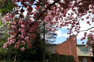 Haus kaufen in 24803 Erfde, Erfde - Provisionsfreie Immobilie