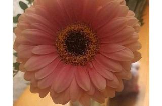 Haus kaufen in 22967 Tremsbüttel, Tremsbüttel - Grundstück mit Altlast, Baugrundstück