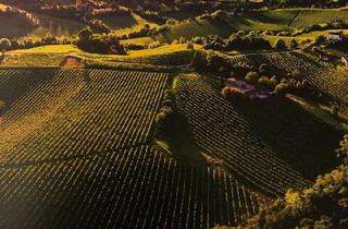 Einfamilienhaus kaufen in 67577 Alsheim, Alsheim - hochwertiges EFH mit ELW in Alsheim zu verkaufen