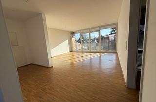 Penthouse mieten in Am Venn, 33607 Innenstadt, Sonnenpenthouse - 2 Zimmer, Küche, Bad, große Loggia - gepflegtes Umfeld