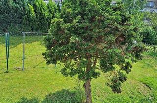 Wohnung mieten in Dingeringhauser Weg 999, 58840 Plettenberg, Attraktive 3-Zimmer- Wohnung , gute Lage, gelungener Grundriss