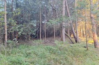 Gewerbeimmobilie kaufen in 83139 Söchtenau, Forstwirtschaftliche Fläche "Hintermoos" - Filze, Mooswald, Waldgrundstück bei Söchtenau