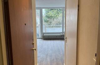 Wohnung mieten in Georg-Brauchle-Ring, 80992 Moosach, Helle, frisch renovierte 1-Zimmer-Wohnung mit Balkon nahe U-Bahn Georg-Brauchle-Ring