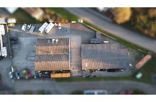 Gewerbeimmobilie kaufen in 76744 Wörth, Attraktive Gewerbeimmobilie mit zwei Hallen voll vermietet