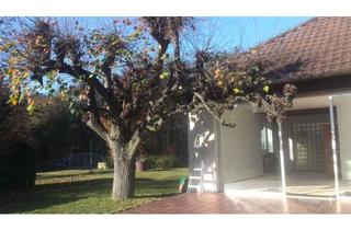 Grundstück zu kaufen in Starckstraße 25, 90453 Krottenbach, Traumgrundstück mit Bungalow in Nürnberg-Mühlhof – provisionsfrei