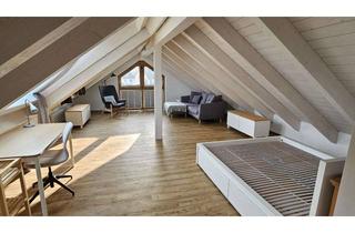 Immobilie mieten in 91056 Alterlangen, Möbliertes Dachgeschoss-Apartment – Erstbezug in Alterlangen (91056)