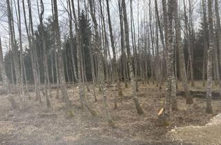 Gewerbeimmobilie kaufen in 83125 Eggstätt, Wald/Freizeitgrundstück