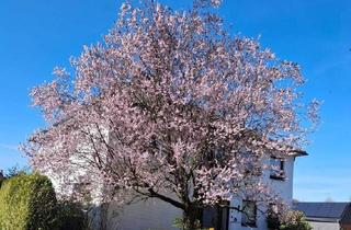 Villa kaufen in 48249 Dülmen, Dülmen - Stadtvilla in Dülmen Zentrumsnah