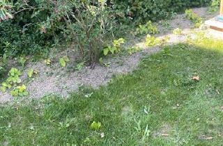 Einfamilienhaus kaufen in 82178 Puchheim, Puchheim - Einfamilienhaus munchen pasing