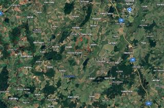 Doppelhaushälfte kaufen in 18273 Güstrow, Güstrow - Doppelhaushälfte mit Grundstück ohne Makler