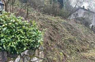 Grundstück zu kaufen in 54614 Schönecken, Schönecken - Grundstück zu verkaufen in Schönecken 18.500,00 ? 801 m²