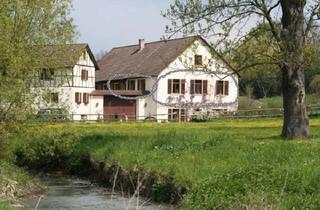 Wohnung mieten in Eulenmühle 000, 55218 Ingelheim, Helle Dachgeschosswohnung in Ingelheim am Rhein