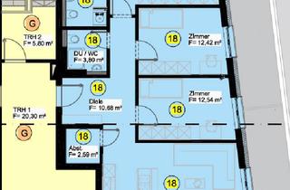 Penthouse mieten in Basler Straße 14a, 79618 Rheinfelden, Erstbezug Penthouse: Luxuriöse 4-Zimmer-Dachgeschosswohnung mit 119 m² in Rheinfelden (Baden)
