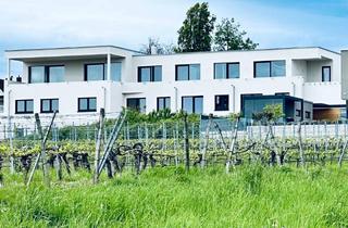 Wohnung mieten in Haydnweg, 69254 Malsch, Barrierefreie Terrassen/Garten Wohnung in Südlage vor den Weinbergen