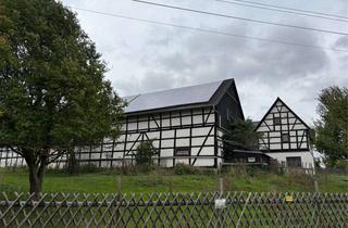 Haus kaufen in 08393 Dennheritz, Liebhaberobjekt mit großem Grundstück nahe Zwickau !!